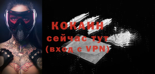 дмт Фёдоровский