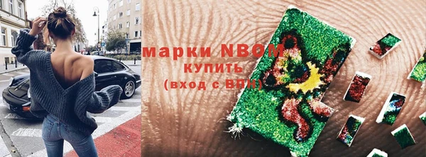мдпв Нестеровская