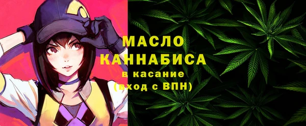 дмт Фёдоровский