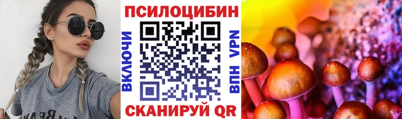 что такое   Мензелинск  Псилоцибиновые грибы Psilocybine cubensis 